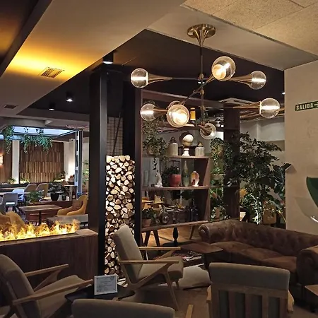巴黎spa酒店 莱昂