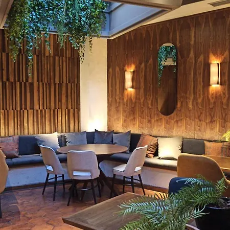 巴黎spa酒店 3* 莱昂