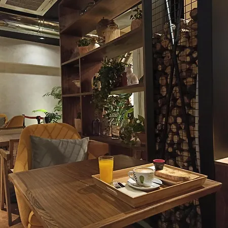 巴黎spa酒店 酒店 莱昂